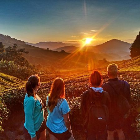 C1 Backpackers Hostelキャメロンハイランド エクステリア 写真