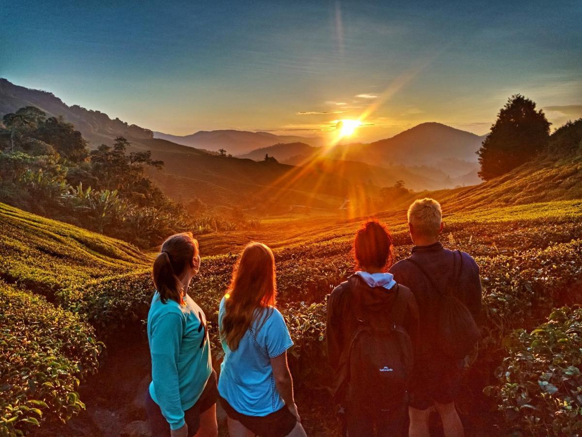 C1 Backpackers Hostelキャメロンハイランド エクステリア 写真